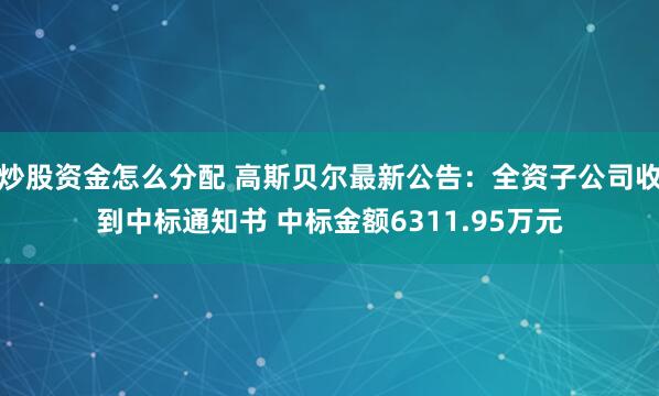 炒股资金怎么分配 高斯贝尔最新公告：全资子公司收到中标通知书 中标金额6311.95万元