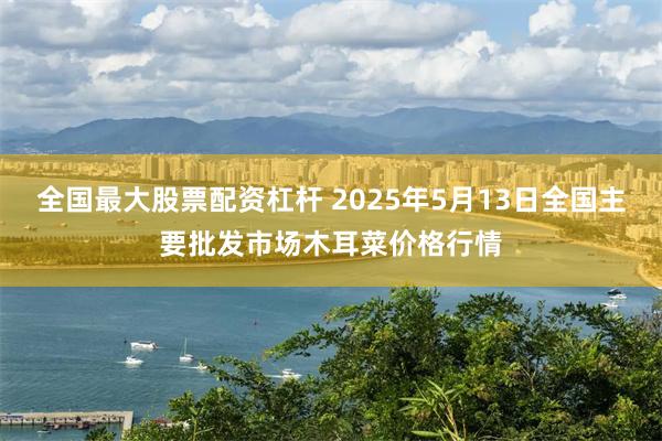 全国最大股票配资杠杆 2025年5月13日全国主要批发市场木耳菜价格行情