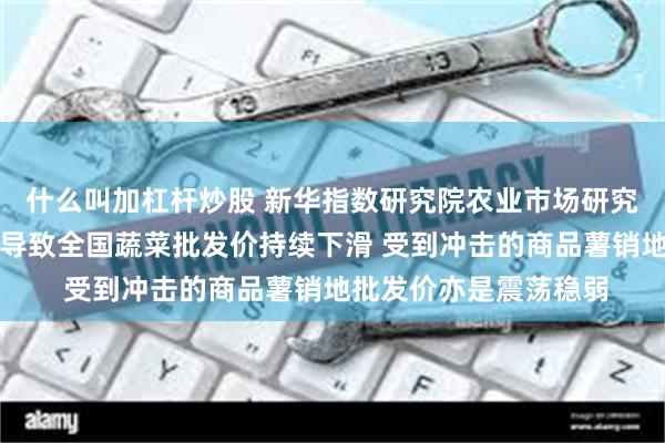 什么叫加杠杆炒股 新华指数研究院农业市场研究中心：夏菜供应充足导致全国蔬菜批发价持续下滑 受到冲击的商品薯销地批发价亦是震荡稳弱