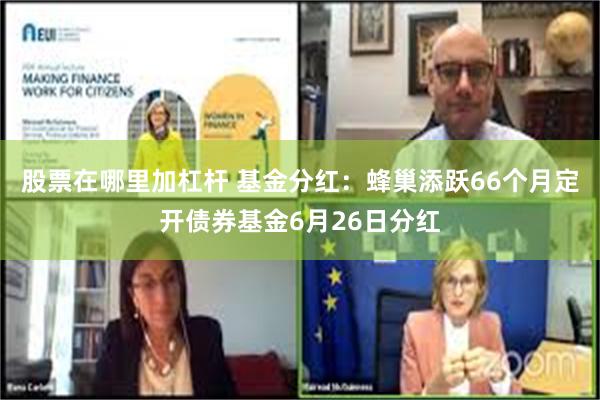 股票在哪里加杠杆 基金分红：蜂巢添跃66个月定开债券基金6月26日分红