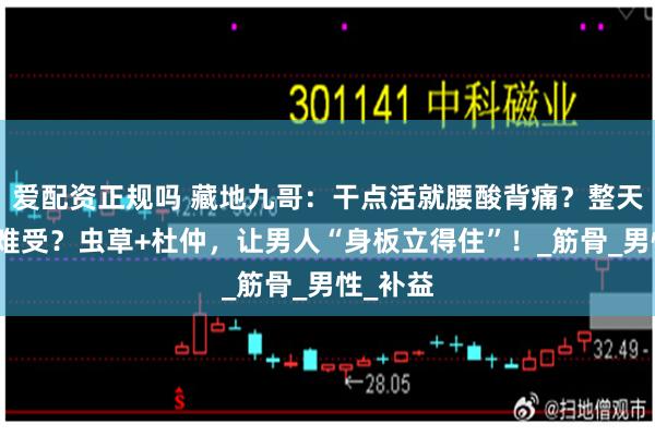 爱配资正规吗 藏地九哥：干点活就腰酸背痛？整天坐着更难受？虫草+杜仲，让男人“身板立得住”！_筋骨_男性_补益